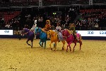 Quadrille - 00581